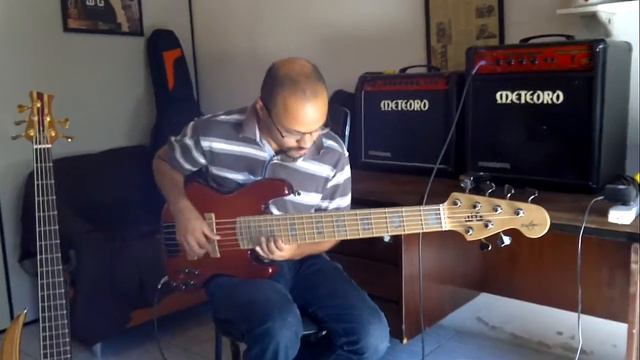 BAIXOS W:G Baixaria Osiel - The Chicken смотреть онлайн