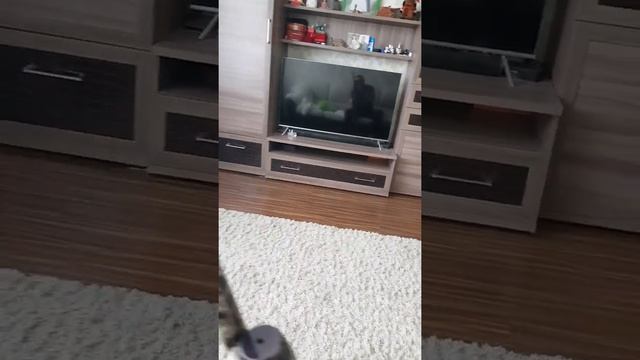 МР-155 камуфляж, отзыв за пару лет эксплуатации