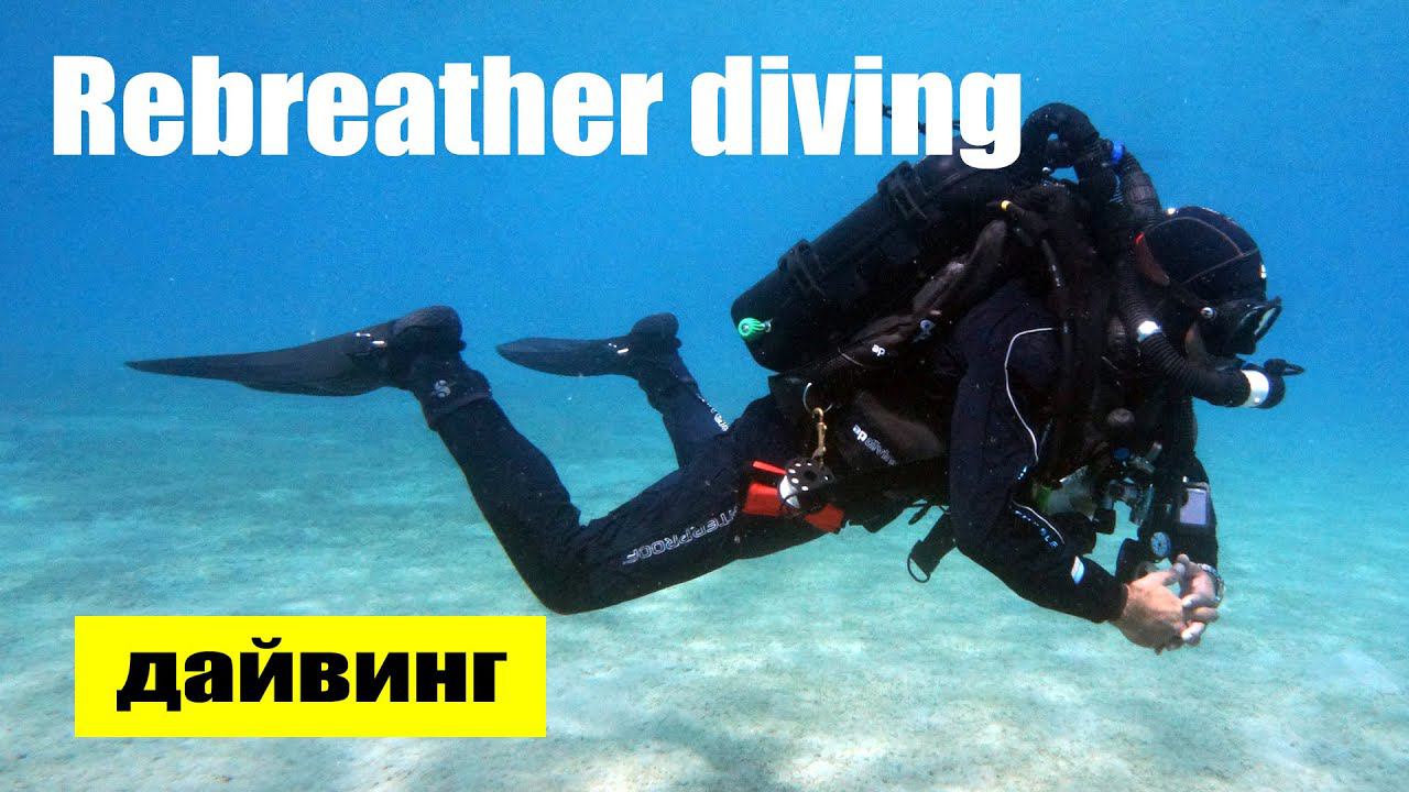 Подводная прогулка на ребризерах. смотреть онлайн