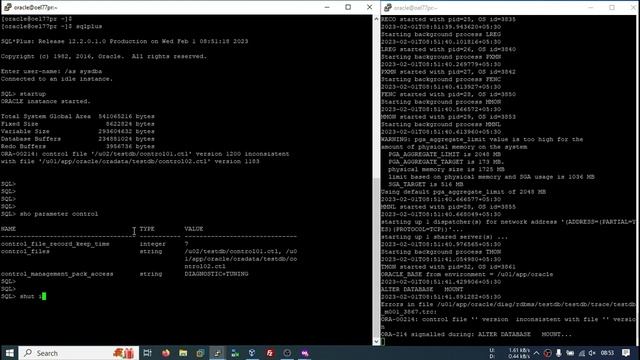 ORA-00214 Control File inconsistent Error смотреть онлайн
