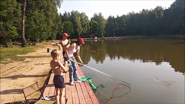 Утренний обзор с Верхнего и немного о рыбалке на Нижнем. Клёвое место Лосиный остров. смотреть онлайн