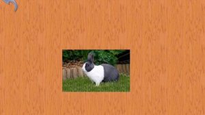 домашние животные малыш учит животных не полной версии