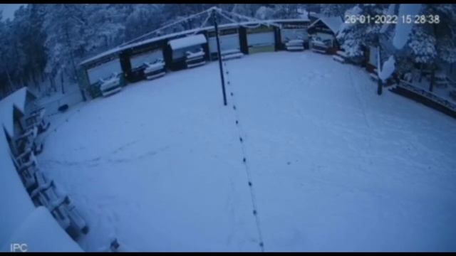 18+ Кто травил бездомных собак в Якутске? Видеозаписи с уличных камер наружного наблюдения. смотреть онлайн