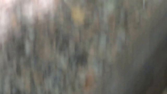 Долина Бабочек Родос смотреть онлайн