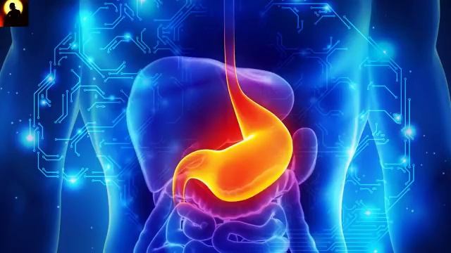 20 MINS Gastritis Pain Relief Frequency ★ Gastritis Healing Sound Therapy ★ Binaural Beats #SG20 смотреть онлайн