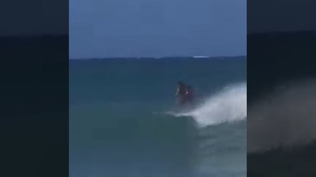 Braxton Olita surf Turtle Bay Fish смотреть онлайн