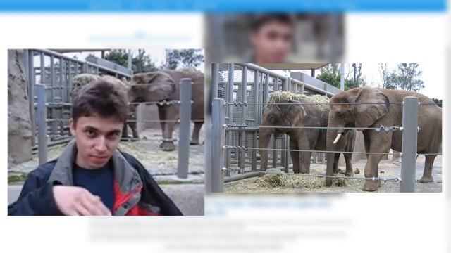 Jawed's profile picture and banner have been changed - to a very mysterious image смотреть онлайн