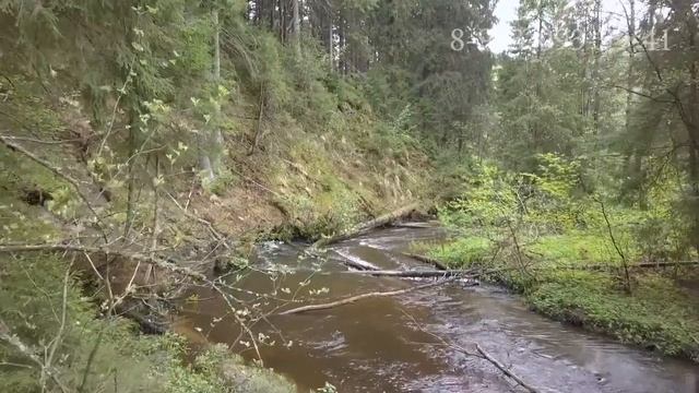 Купить участок в Токсово смотреть онлайн