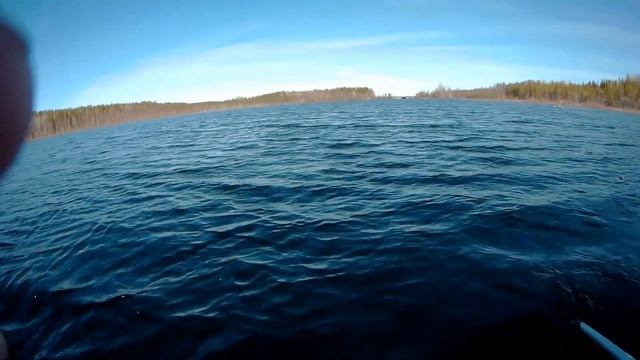 ЩУКА на ЖИВЦА!(БЕШЕНЫЕ КРУЖКИ!).Рыбалка в КАРЕЛИИ. смотреть онлайн