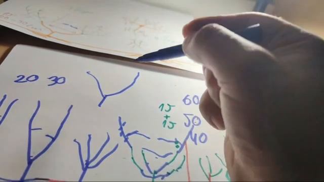 Слива в виде куста Возможно это или нет?