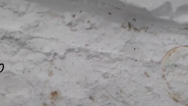 Испытание счётчика топлива смотреть онлайн