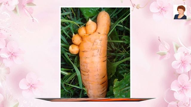 ВЕСЕЛАЯ МОРКОВЬ (MERRY CARROT) смотреть онлайн