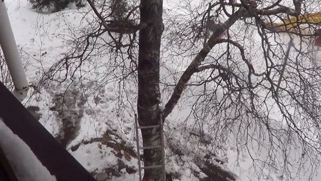 #МотоМаня делает кормушку для птиц из цветочного горшка. Фильдеперсовые танцы на грани весны. смотреть онлайн