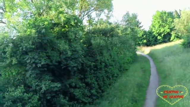 Ольга Валерьевна. Компьютер. Обзор влогов. 24 03 2023 ОВ смотреть онлайн