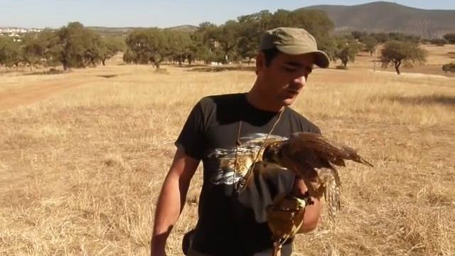 Curso Cetraria-Falcoaria смотреть онлайн