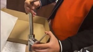 Смеситель для кухни Evans Azario