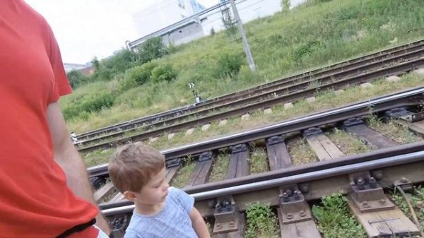 Лев на электричке 🚂🚂🚂