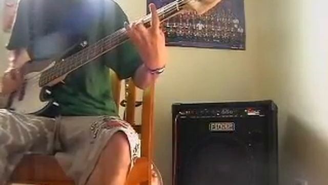 Rage Against The Machine - Bobmtrack bass cover смотреть онлайн