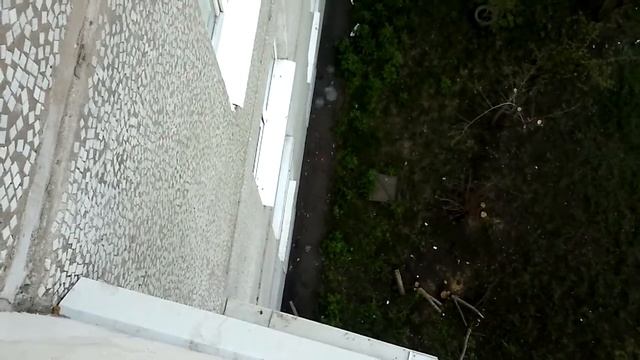 осторожно злая собака смотреть онлайн