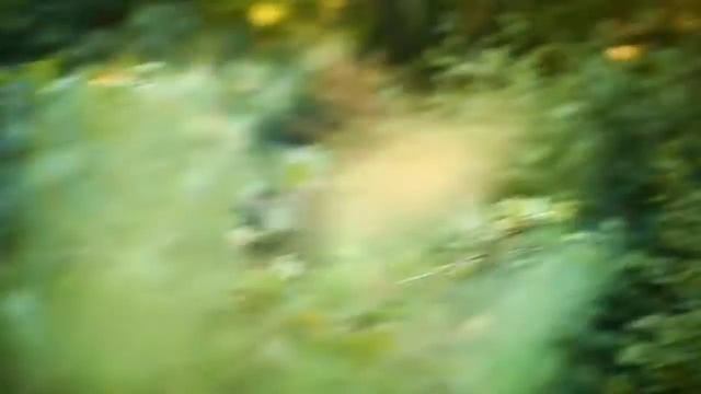 Все красоты Лигурийского побережья смотреть онлайн