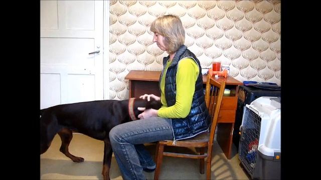 "Обучение с нуля" Урок 15. Апортировка (продолжение) смотреть онлайн