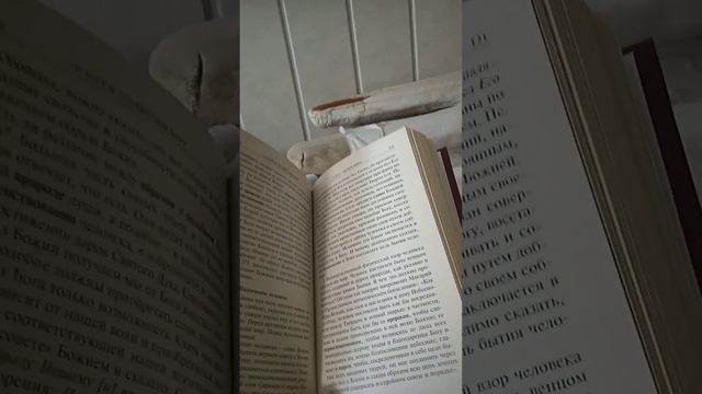 Назначение человека. смотреть онлайн