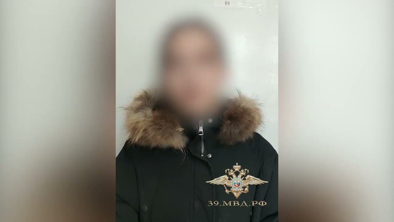 Калининградские полицейские установили причастность жительницы Пермского края к мошенничеству смотреть онлайн