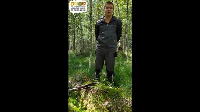 Куприянов Дмитрий. Торф и пожары на болотах смотреть онлайн