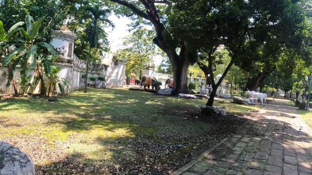 An old temple at the former fortress, Chaloem Phrakiat temple| Nonthaburi EP12 (Eng-sub) смотреть онлайн