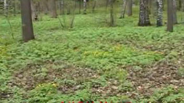 весна, трава, деревья, парк, переменчивая погода, Воробьёвы горы смотреть онлайн