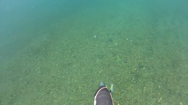 Подводная охота в Сибири. Хариус 1,4 кг.MP4 смотреть онлайн