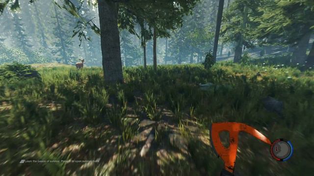 The Forest 0.0.9 COOP HD - Multiplayer cooperativo смотреть онлайн