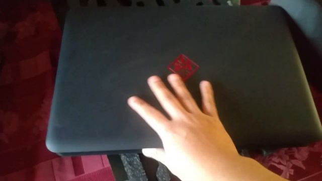 My Laptop Came In! Showing My New Laptop and Showcasing My 5 Star Dogs смотреть онлайн