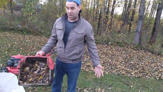 Газонокосилка DDE. Уборка листвы. смотреть онлайн