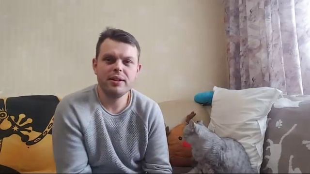 ПЕРВЫЙ ДЕНЬ ВЕСНЫ И ДЕНЬ КОТОВ И КОШЕК смотреть онлайн