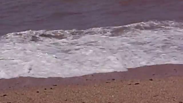 Дикий пляж Кача-Севастополь.AVI смотреть онлайн