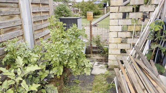 Дача в Германии. Хлопоты в конце июля смотреть онлайн