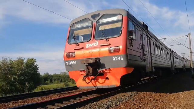 Электропоезд ЭД9М 0246 сообщением Поворино-Таловая смотреть онлайн