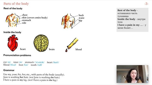 Урок 46 - Parts of the body. Части тела на английском. Английские слова по темам для начинающих. смотреть онлайн