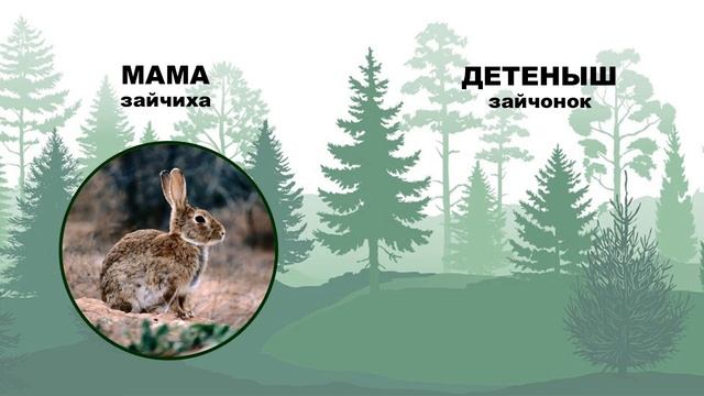 Дикие животные смотреть онлайн