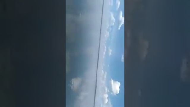 американский водометный катер на японском моторе L15A смотреть онлайн