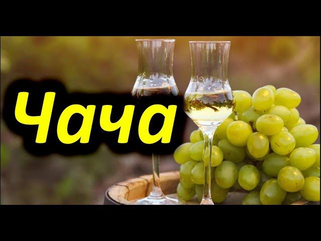 Чача или обычный виноградный самогон