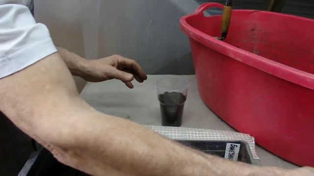саженцы ежевики из корневых черенков ч.2 смотреть онлайн