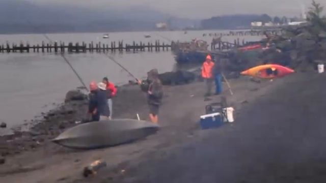 Catching a Chinook Salmon смотреть онлайн