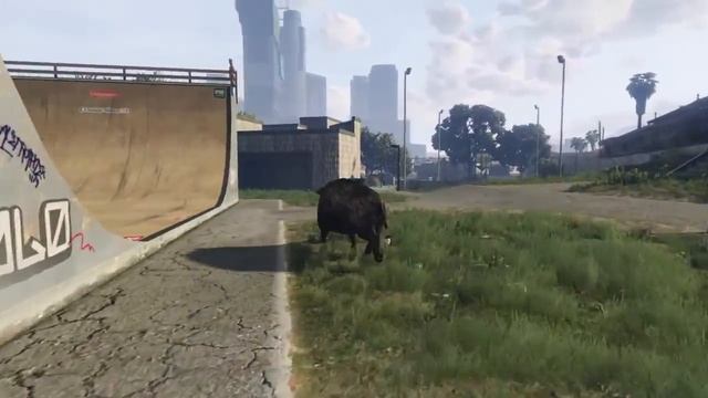 Animal Lover Achievement Guide Ps4 смотреть онлайн