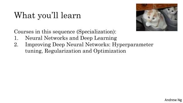 Welcome (Deep Learning Specialization C1W1L01) смотреть онлайн