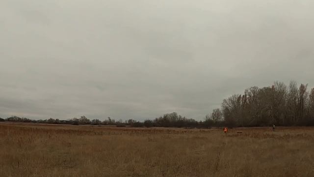 УДАЧНОЕ ОТКРЫТИЕ ОХОТЫ на ЗАЙЦА 2023-2024 !!! смотреть онлайн