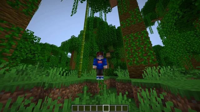 //SET 0 БЕЗ МОДОВ И ДАТАПАКОВ В МАЙНКРАФТЕ? КАК СЕТАТЬ ТЕРРИТОРИЮ БЕЗ WORLDEDIT В MINECRAFT /FILL! смотреть онлайн