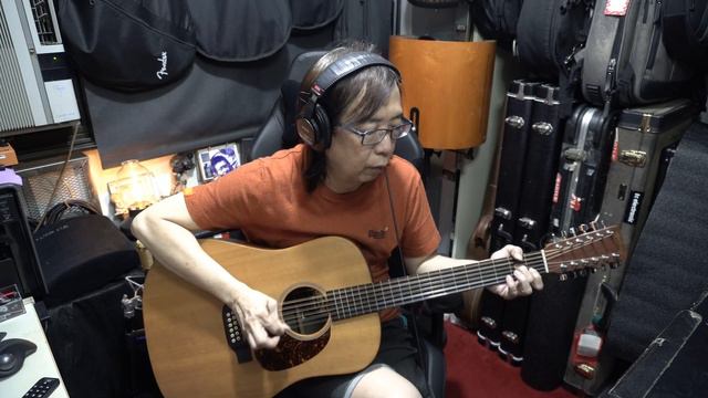 The Martin D12X1AE 12 Strings смотреть онлайн