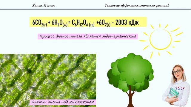 Тепловой эффект химических реакций смотреть онлайн